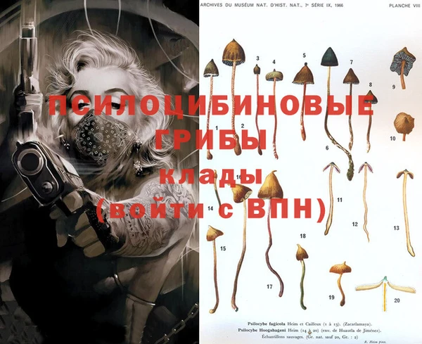скорость Ладушкин
