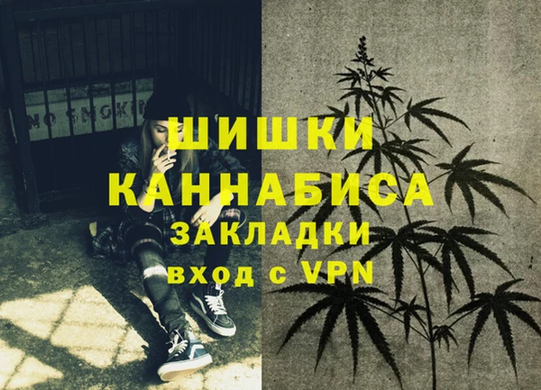 скорость Ладушкин