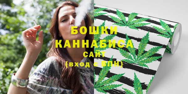 spice Лагань
