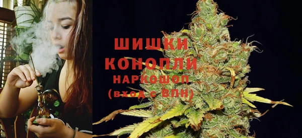 Альфа ПВП Лабытнанги