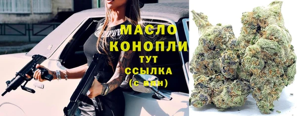 spice Лагань