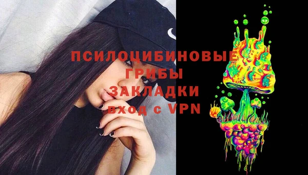 spice Лагань