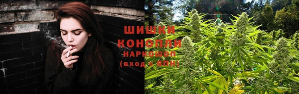 скорость Ладушкин