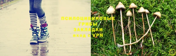 Альфа ПВП Лабытнанги