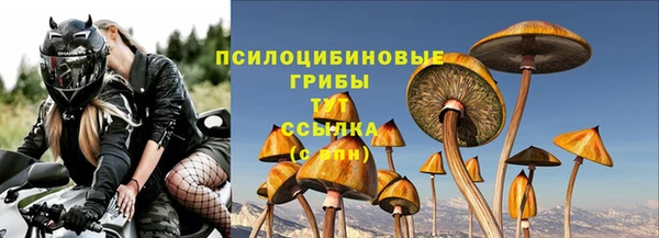 Альфа ПВП Лабытнанги