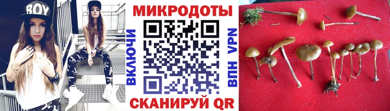 Купить где  Ильский  Псилоцибиновые грибы ЛСД 